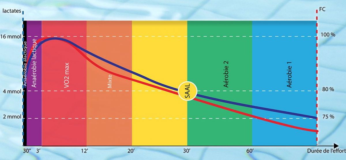 zones-entrainement-natation